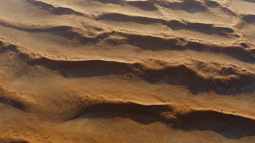 Heres a clean polished version of your scenea desert stretches across the horizon at midday its sunlit sand forming smooth wavy patterns shaped by the wind