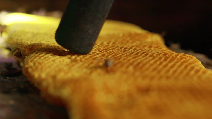 A farmer uses a vacuum device to remove bees from a honeycomb at night the scene illuminated by a bright light that cuts through the darkness and highlights the bees movement across the comb