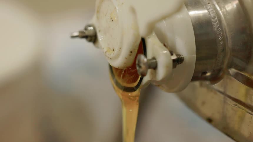 Close view of thick golden honey flowing steadily from a white plastic gate valve attached to a stainless steel metal tank