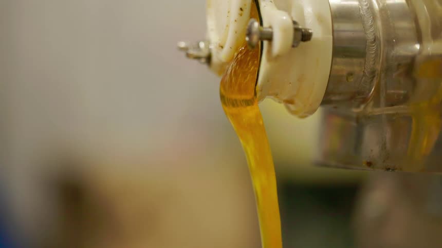 A thick stream of amber honey flows steadily from a white plastic valve attached to a stainless steel extraction machine in a processing facility