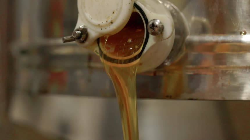 A continuous stream of thick amber honey flows steadily from a white plastic gate valve attached to a stainless steel extraction tank