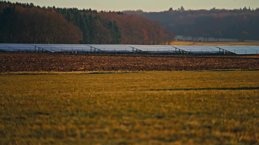 A long row of solar panels stretches across a rural landscape between a tilled field and a dense autumn forest under the soft light of a setting sun