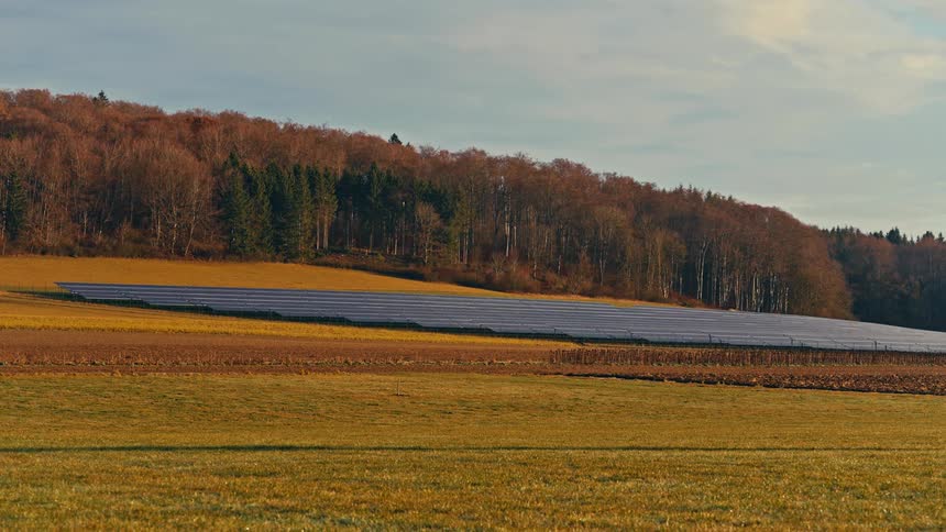 Solar panels lined up across the ground outside of the forest