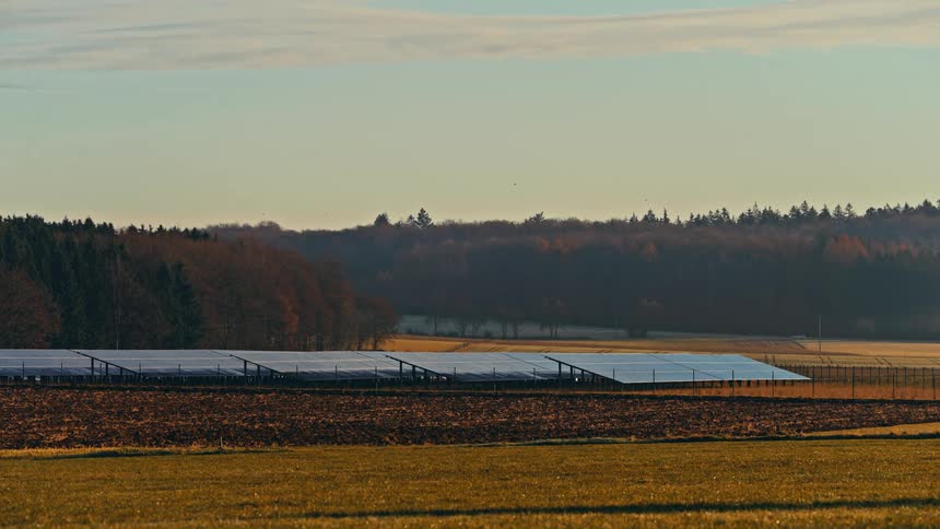 Several sets of solar panels are located in a field near a forest