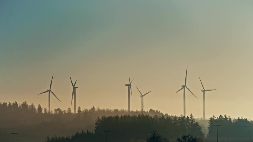 The forest is full of windmills