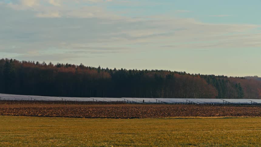 The person walks past the solar farm