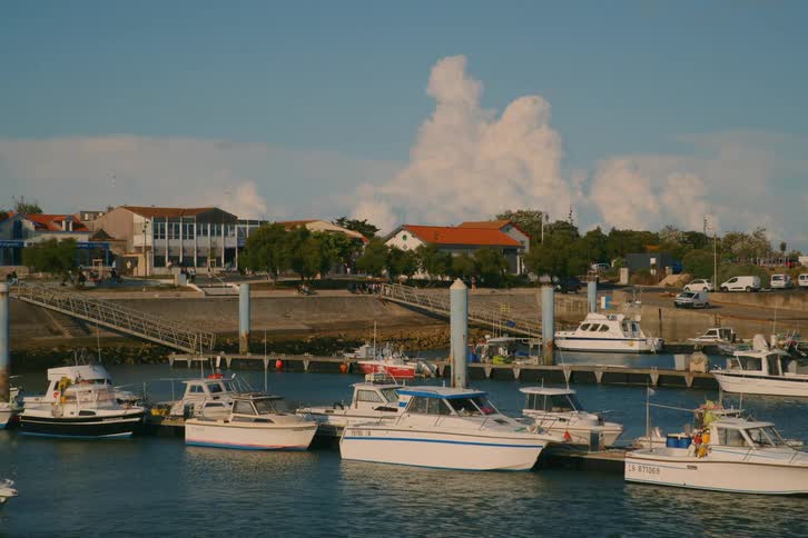 Boats docked at a marina