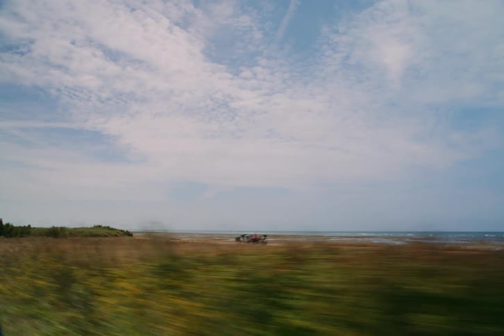 Moving view of vegetation with the beach in the background