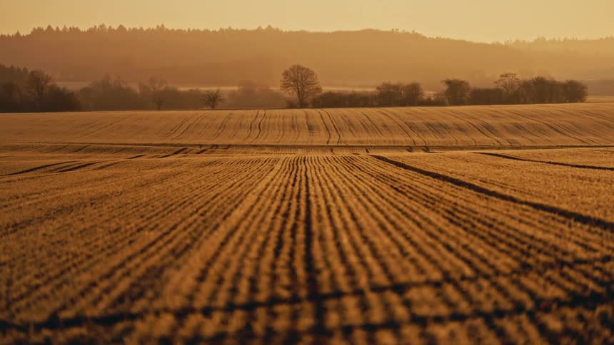 Golden light stretches across plowed farmland with rolling hills and distant trees