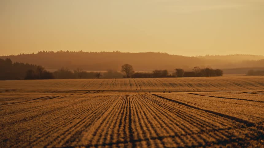 The sun is rising on the large farmland