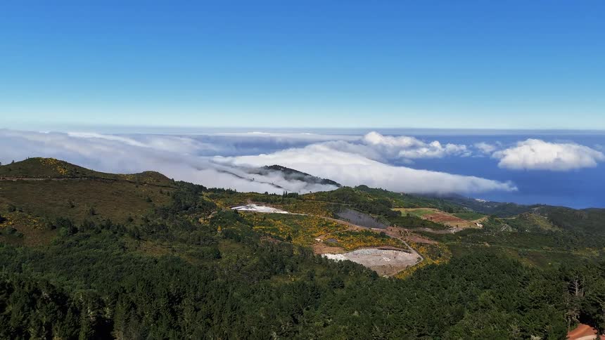 A wide view from a high elevation shows green forested hills and yellow flowering bushes under a clear blue sky with white clouds rolling over the distant coastline