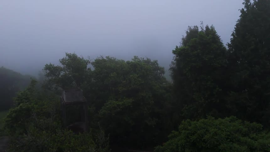 A high angle view moves from the orange tile roof of a house into a thick gray mist covering a dense green forest on a gloomy day