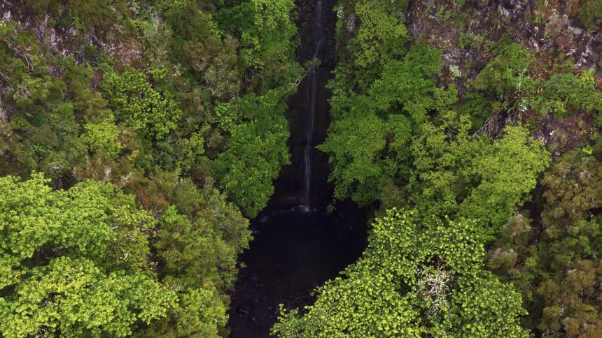An aerial drone shot pulls back to reveal a thin waterfall cascading down a steep rocky cliff into a dark basin surrounded by a dense canopy of tropical green trees and thick forest vegetation in a secluded canyon