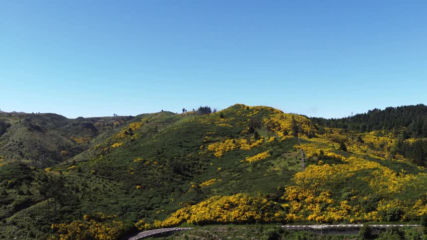 The car drives on the mountain road