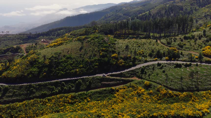 An aerial shot shows a car driving along a winding asphalt road that snakes through lush green mountainside hills covered in vibrant yellow wildflowers with a misty coastal valley and dense pine forests visible in the distance