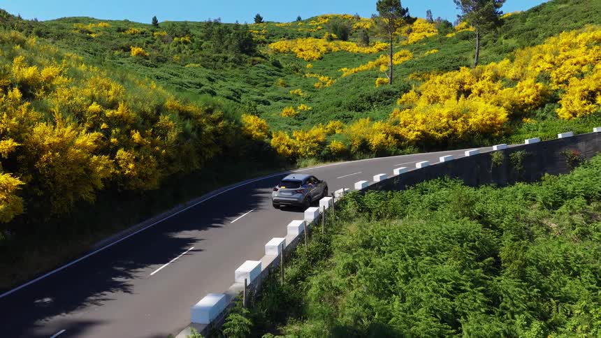 Car driving on a road surrounded by flowers and vegetation outdoors during day time