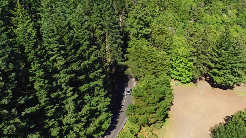 Car travels along a winding road surrounded by dense forest seen from above