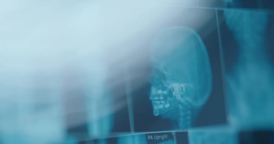 The screen is full of medical images