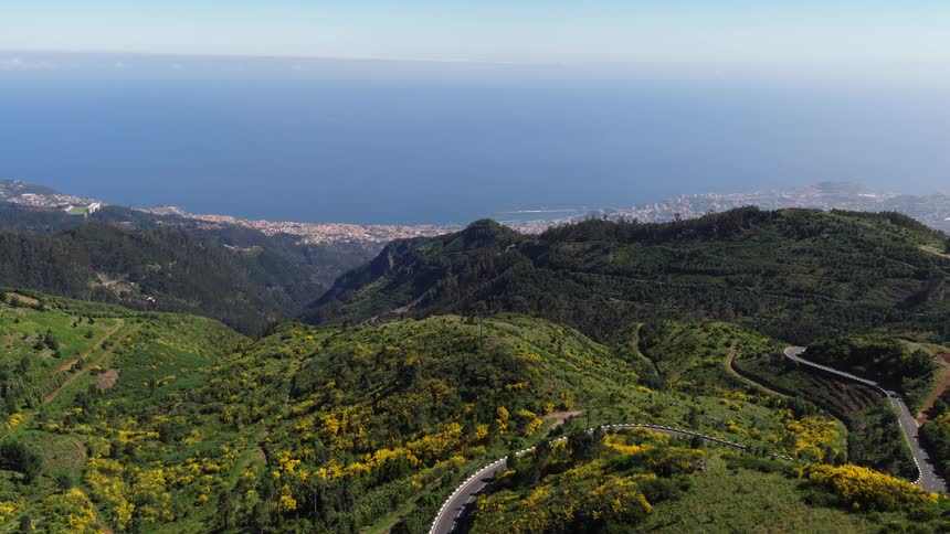 Aerial view shows a winding mountain road curving through lush green slopes with yellow blossoms overlooking a coastal city and the vast blue ocean under a clear sky