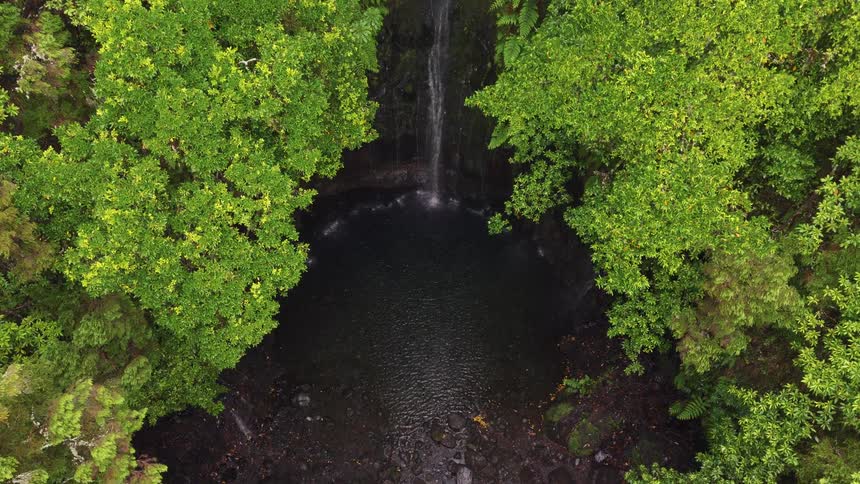 Waterfall in the middle of a forest