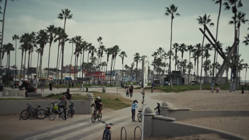 A wide view of people riding bicycles on a paved boardwalk at a beach lined with tall palm trees under a cloudy sky