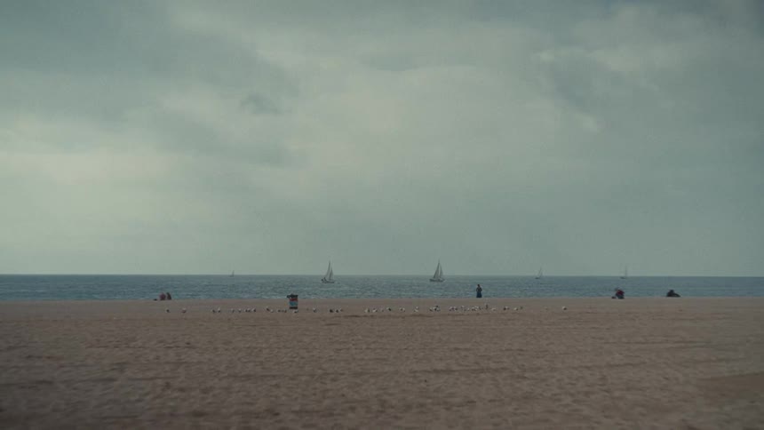 Sailboats on the sea close to a beach where people are hanging out outdoors during day time