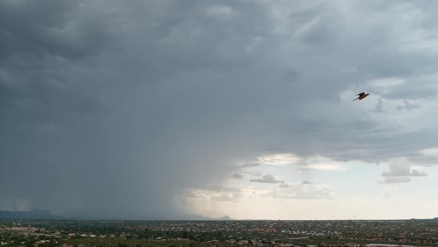 Lightning strikes the ground beneath storm clouds over an urban area with a bird flying in the sky