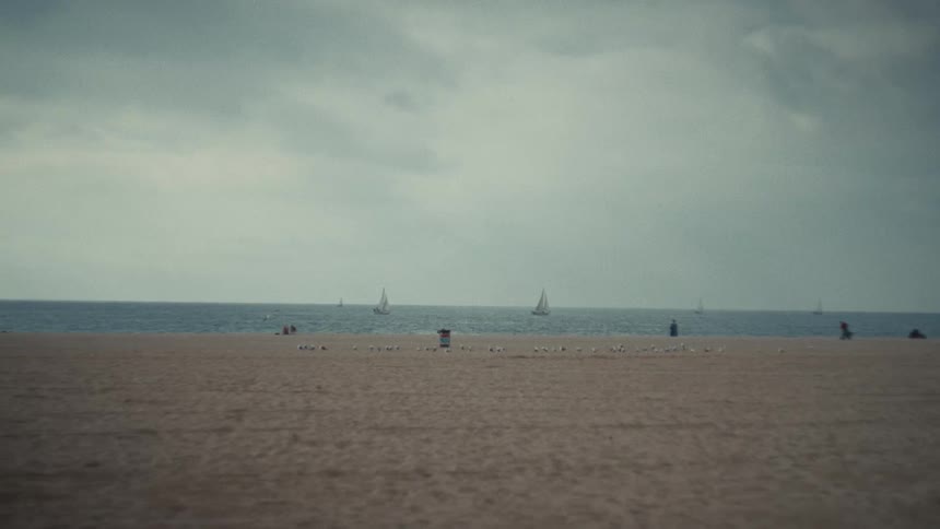 A wide view of a sandy beach with a line of seagulls on the shore and sailboats on the ocean under a cloudy sky during a calm day