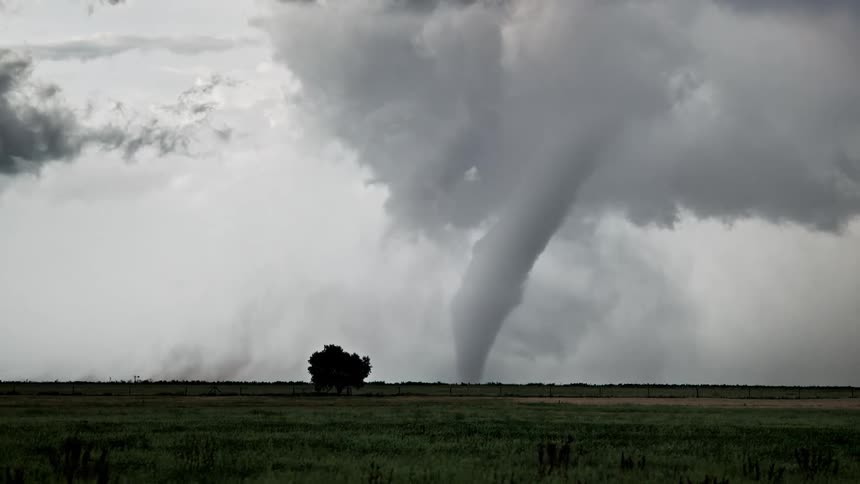 Tornado forms beneath dense clouds over an open field with an isolated tree