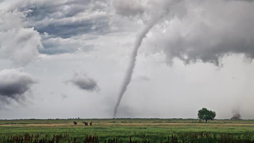 A slender tornado descends from a heavy grey cloud deck toward a flat green field where horses graze near a fence and a single tree stands while a second smaller dust whirl forms in the distant background under a turbulent storm sky