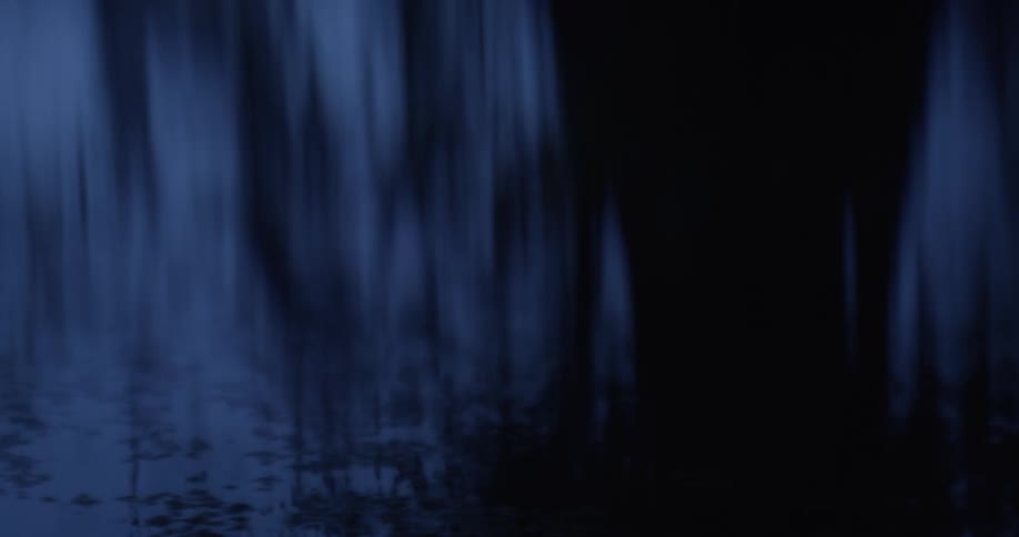 Silhouette of trees reflected in a lake