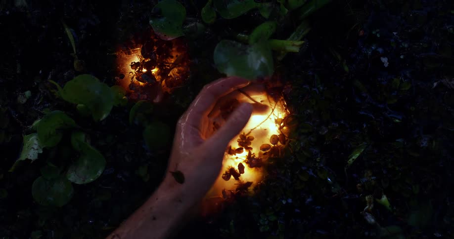 The womans hand is in the water over top of the light flipping over and back playing with the berries and other items in the water