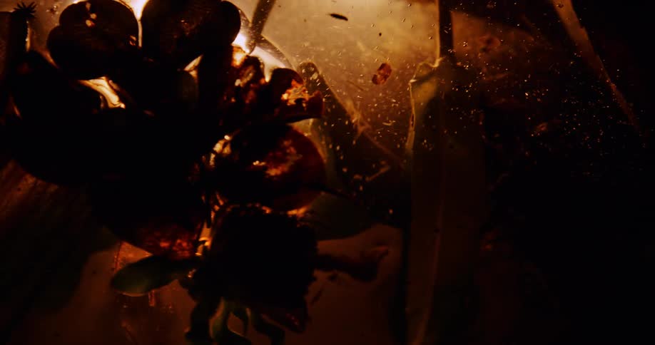 Dark flower submerged in amber liquid with suspended particles and dramatic lighting