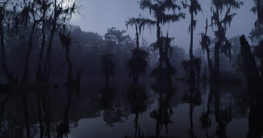 A camera glides slowly across a dark misty swamp at night where silhouetted cypress trees draped in moss reflect off the still water under a bright hazy moon