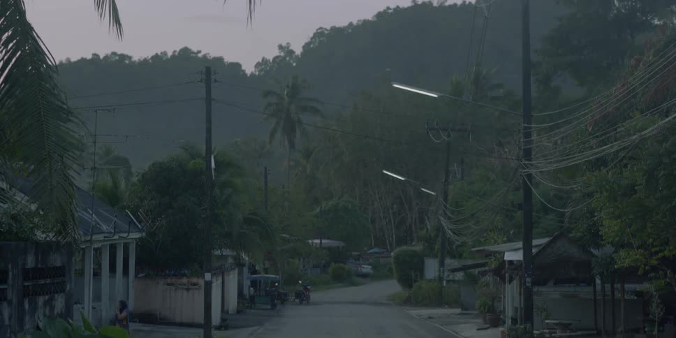 View of an abandoned road