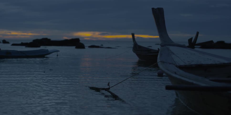 Boats tied to a rope at night