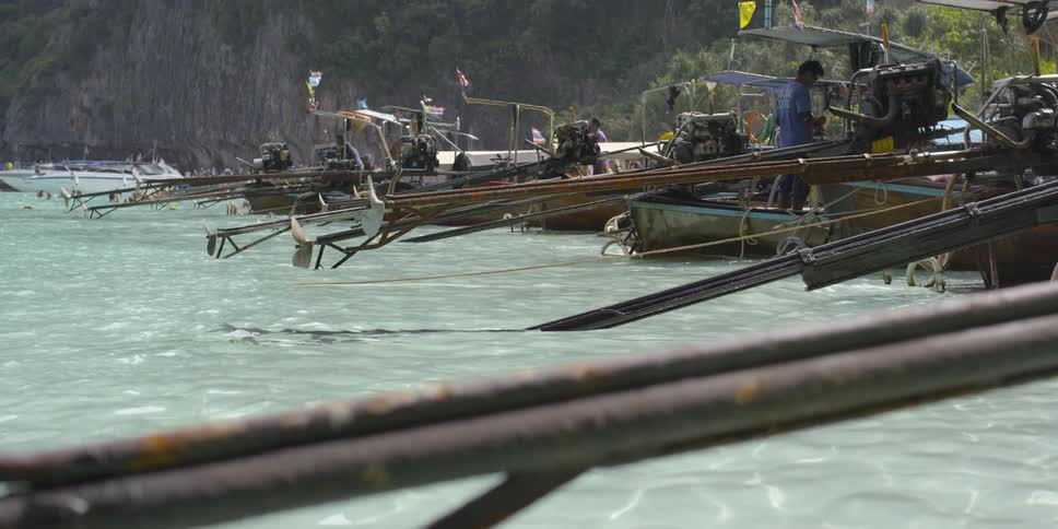 The docked boats have long ores