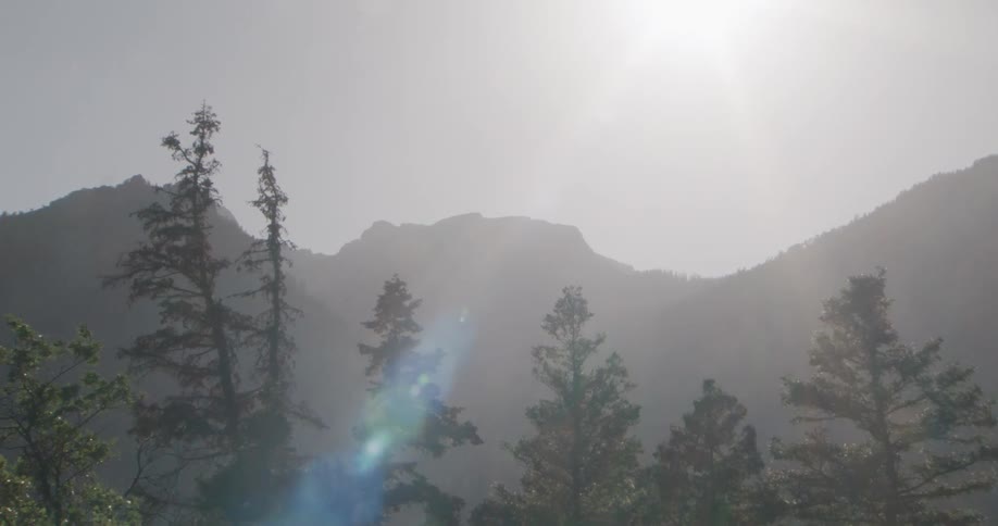 Bright sunlight casts over a dark mountain range with evergreen trees in the foreground