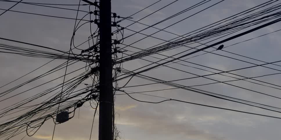 A bird sits on a power line