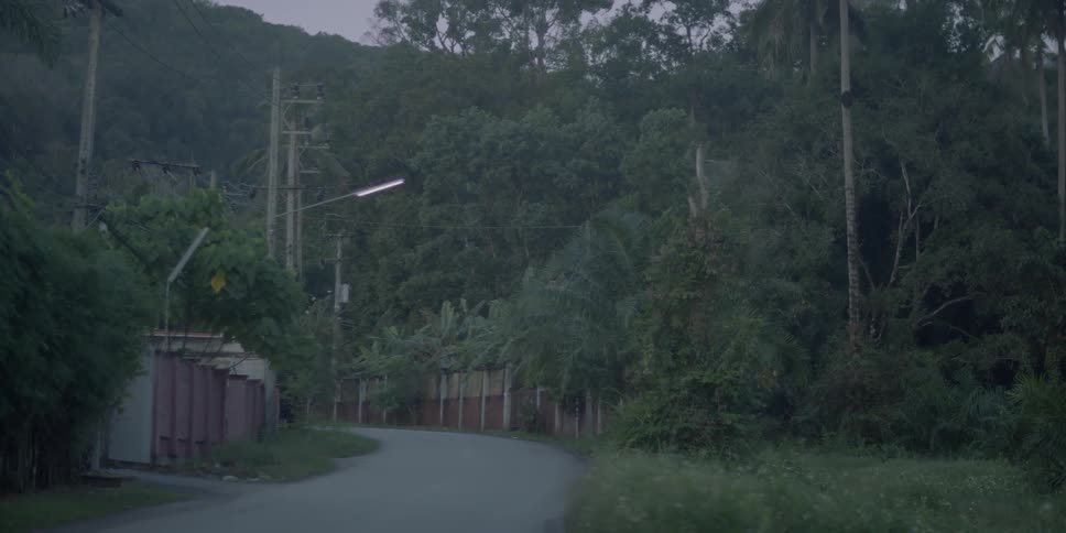 A round surrounded by trees with fences and a street light