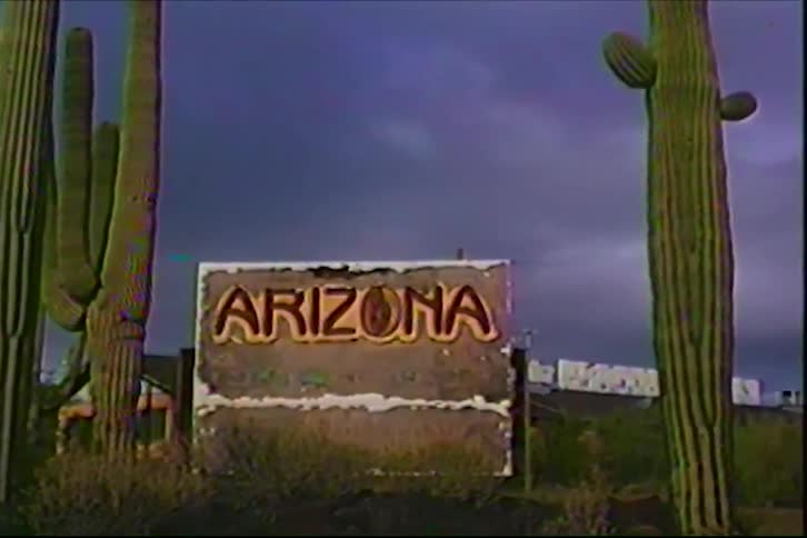 Sign reading arizona stands between tall cacti in a desert landscape under a cloudy sky