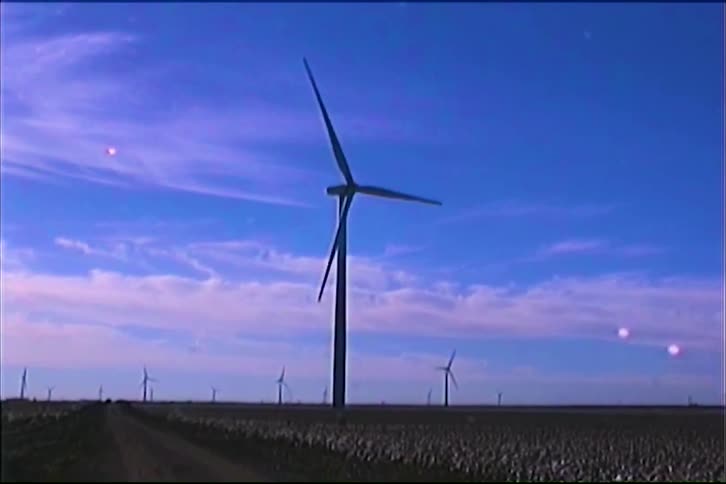 Large wind turbine towers over an expansive cotton field beneath a clear blue sky