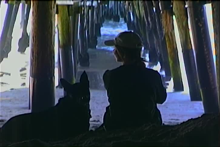 A young woman and her dog sit under a wooden bridge watching ocean waves crash against the wooden logs at midday