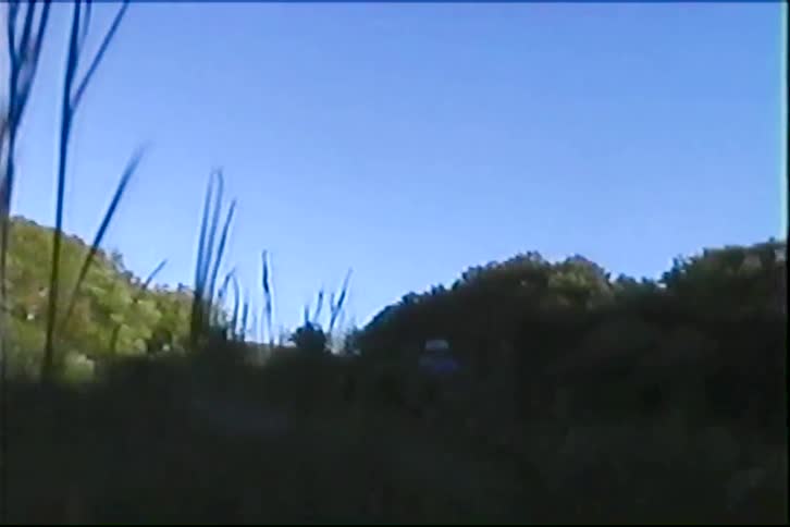 Person performing a motocross maneuver in an environment surrounded by trees