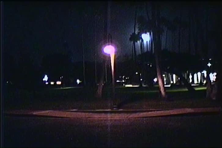 The dark road is surrounded by palm trees