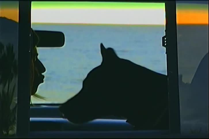 A person and a dog sit together in a vehicle looking out the window at a sunset over the ocean the silhouettes of the two figures are framed against the colorful horizon and rolling waves