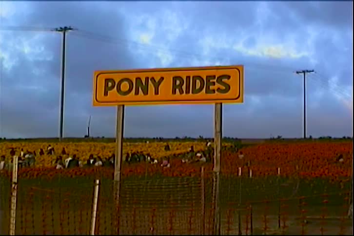 People throng a field containing a business providing pony rides on a cloudy autumn day