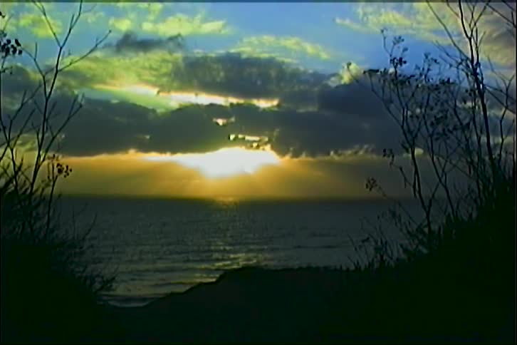Sunset over the ocean seen through silhouetted branches on a coastal cliff