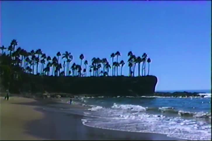 Peaceful beach with gentle waves and cliff lined with palm trees under sunny blue sky