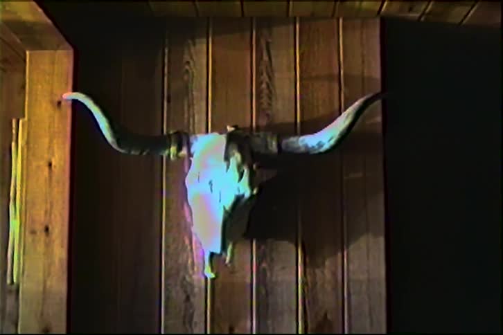 This video features a steer skull mounted on a woodpaneled wall captured with a vintage vhs aesthetic the lowlight setting and grainy texture emphasize the long curved horns and the rustic cabinlike atmosphere of the room